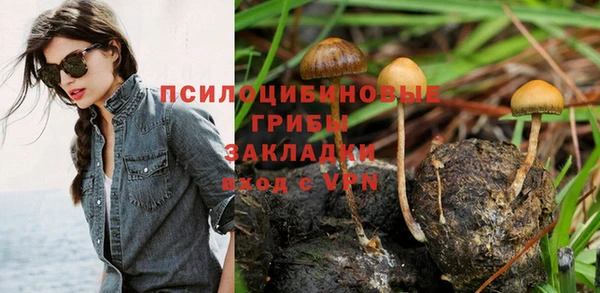 марки nbome Богородицк