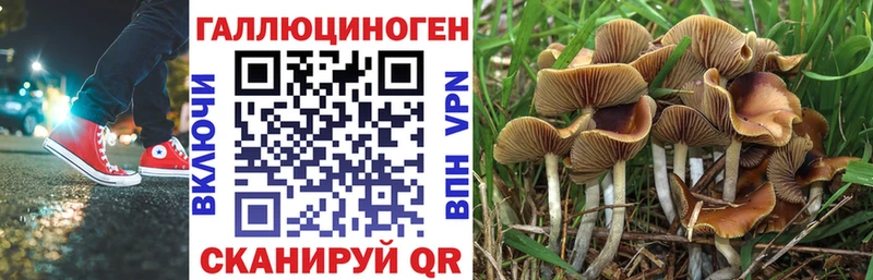 Галлюциногенные грибы Psilocybe  Тюмень 